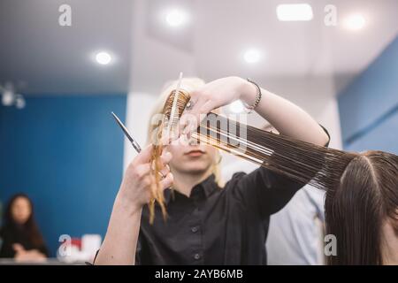 coiffeur tenant des ciseaux et le peigne et fait la coupe de cheveux femme client. Jeune femme belle coupe de cheveux dans le salon de beauté. Processus de Banque D'Images