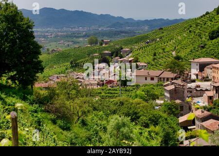 Petit village parmi les vignes Banque D'Images