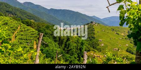 Panorama de la région viticole de Prosecco, village de Combai Banque D'Images