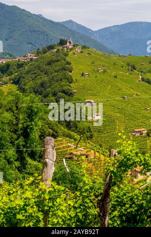 Panorama de la région viticole de Prosecco, village de Combai Banque D'Images