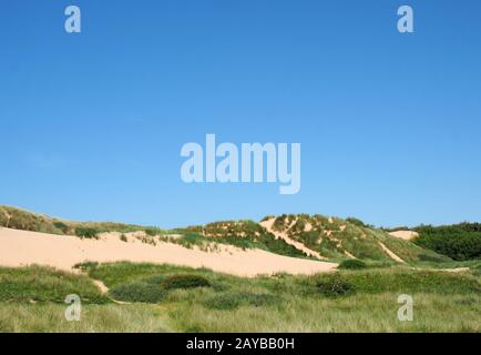 chemins à travers le grand paysage de dunes de sable couvert d'herbe en face de la mer et bleu clair en été soleil sur la sefton co Banque D'Images