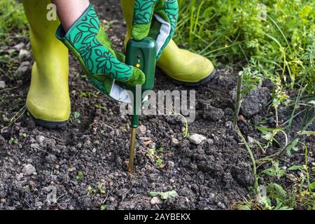Nutriments compteur de sol. Mesurer la teneur en azote du sol à l'aide d'un appareil numérique. Femme agriculteur dans un jardin. Banque D'Images