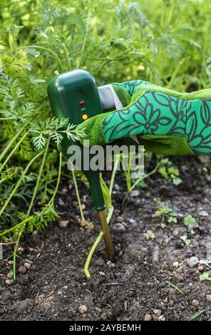 Nutriments compteur de sol. Mesurer la teneur en azote du sol à l'aide d'un appareil numérique. Femme agriculteur dans un jardin. Banque D'Images