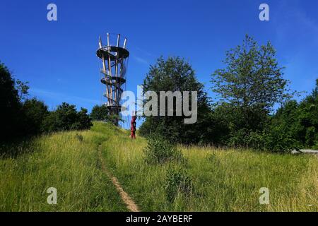 Tour dans la forêt de Schönbuch, Allemagne, Bade-Wurtemberg Banque D'Images