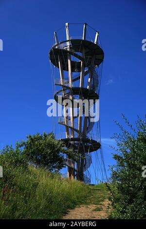 Tour dans la forêt de Schönbuch, Allemagne, Bade-Wurtemberg Banque D'Images