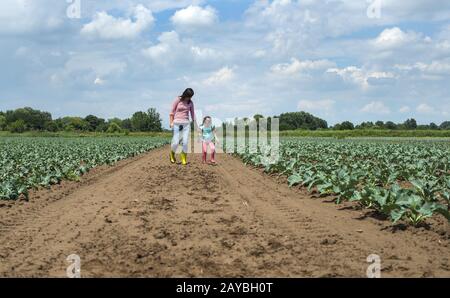 Femme et enfant sur plantation de chou. Banque D'Images