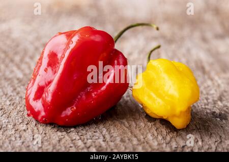 Habanero chiles rouges et les jaunes sur le bois Banque D'Images