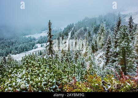 Pistes de montagne couvertes de la première neige Banque D'Images