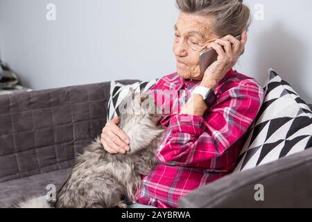 L'ancienne personne à thème utilise la technologie. Maturité joie contentée sourire actif cheveux gris rides caucasiennes femme assis salon salon salle de séjour Banque D'Images
