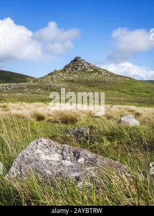 À la péninsule de Clogher Head Dingle Irlande avec des moutons Banque D'Images