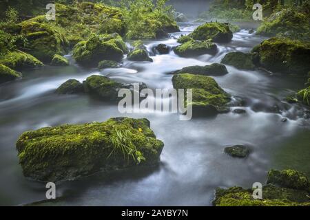 Dans la réserve naturelle de Triebtal dans la région de Vogtland Banque D'Images