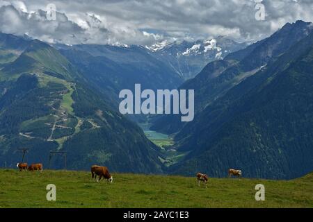 alpes de Zillertaler, vallée de Stillup avec réservoir de Stillup Banque D'Images