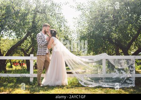 Couple caucasien dans l'amour de la mariée et de la groom debout dans embrasser près de bois blanc, clôture rurale dans le parc un verger de pomme. Thème est W Banque D'Images