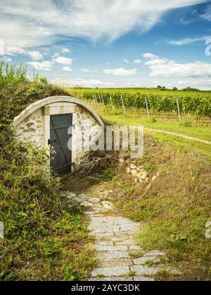 cave à vin au vignoble de burgenland autriche Banque D'Images