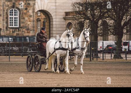 20 Février 2019. L'officier militaire forme deux chevaux blancs des écuries royales devant. Chevaux et voiturette avec cavalier à Christi Banque D'Images