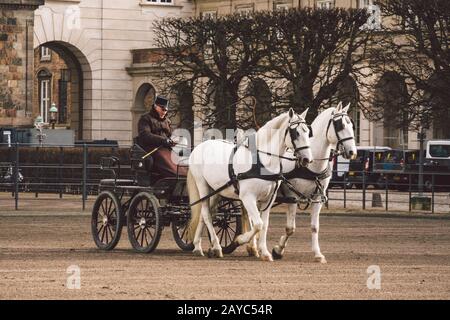 20 Février 2019. L'officier militaire forme deux chevaux blancs des écuries royales devant. Chevaux et voiturette avec cavalier à Christi Banque D'Images