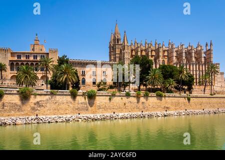 La cathédrale de Santa Maria de Palma à Majorque, Iles Baléares, Espagne Banque D'Images