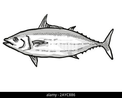 Skipjack Tuna Australian Fish Cartoon Retro Drawing Banque D'Images