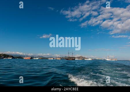 Bateaux, principalement des bateaux d'excursion pour les touristes, dans le port de Labuan Bajo, une ville de pêche située à l'extrémité ouest de la grande île de Flores dans le Banque D'Images