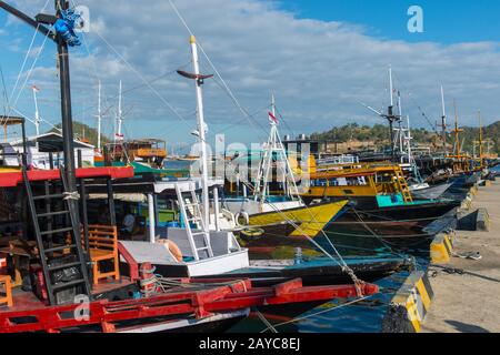 Bateaux, principalement des bateaux d'excursion pour les touristes, dans le port de Labuan Bajo, une ville de pêche située à l'extrémité ouest de la grande île de Flores dans le Banque D'Images