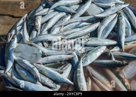 Une scène de marché avec du poisson frais à vendre sur le marché de Labuan Bajo, une ville de pêche située à l'extrémité ouest de la grande île de Flores dans le N Banque D'Images