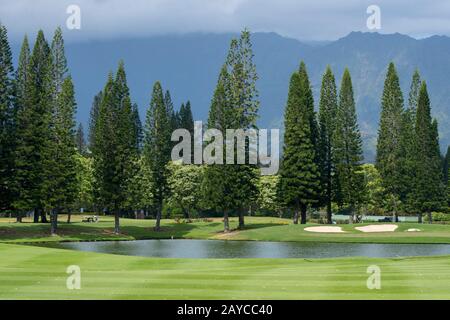 Vue sur le club de golf Princeville Makai et les pins de Norfolk sur l'île hawaïenne de Kauai, Hawaï, États-Unis. Banque D'Images