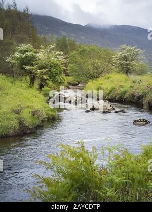 Petite rivière près de l'anneau de l'écart des molls de Kerry Irlande Banque D'Images