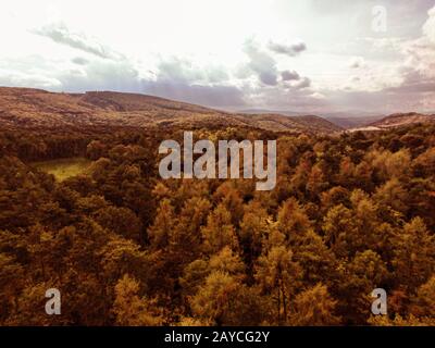 Vue aérienne sur l'Anninger hill et la forêt de Mödling en Basse-Autriche. Randonnées d'automne et concept. Banque D'Images