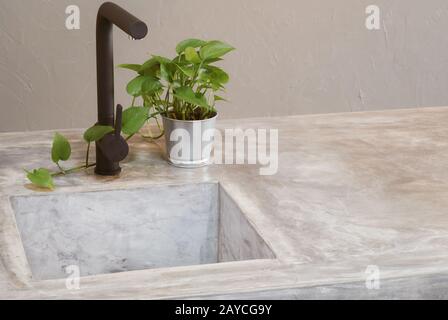 Morden robinet noir et d'une cuisine avec évier de la salle des comptoirs du ciment et de l'herbe bien verte . Banque D'Images