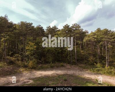 Vue aérienne sur l'Anninger hill et la forêt de Mödling en Basse-Autriche. Randonnées d'automne et concept. Banque D'Images