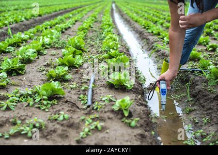 La femme mesure l'eau d'irrigation avec pH-mètre numérique dans le canal d'arrosage. Banque D'Images