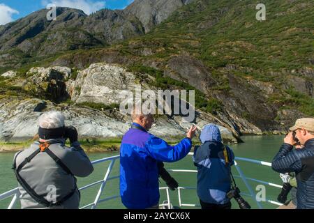 Les touristes photographiant des chèvres de montagne sur les rochers de Tracy Arm, un fjord dans le sud-est de l'Alaska près de Juneau, Tongass National Forest, Alaska, États-Unis. Banque D'Images