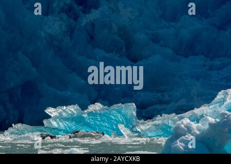 Icebergs devant le glacier South Sawyer à Tracy Arm, un fjord en Alaska près de Juneau, la forêt nationale de Tongass, Alaska, États-Unis. Banque D'Images