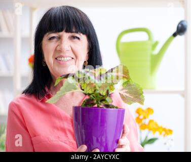 Fleuriste femme travaillant dans le magasin de fleur Banque D'Images