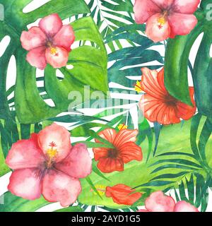 motif aquarelle tropical sans coutures avec hibiscus rouge et rose fleuris isolés sur blanc Banque D'Images