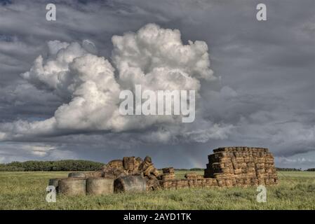 Prairie Road et School House Banque D'Images