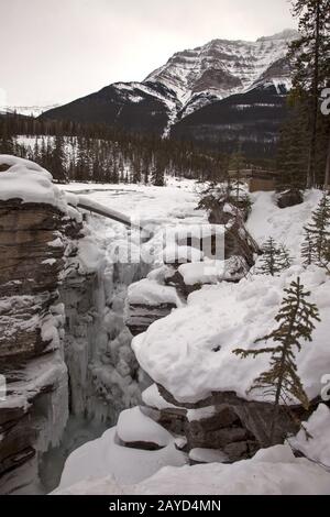 Chutes Athabasca en hiver Banque D'Images