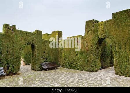 Jardins du Generalife, Grenade, Espagne Banque D'Images