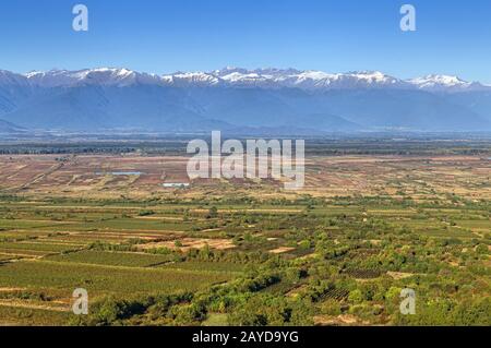 Vue sur la vallée d'Alazani, Kakheti, Géorgie Banque D'Images