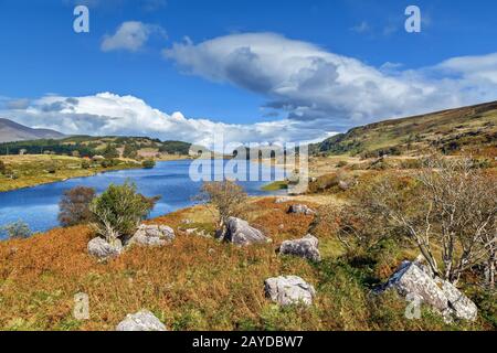 Lac Lough Looscauunagh, Irlande Banque D'Images