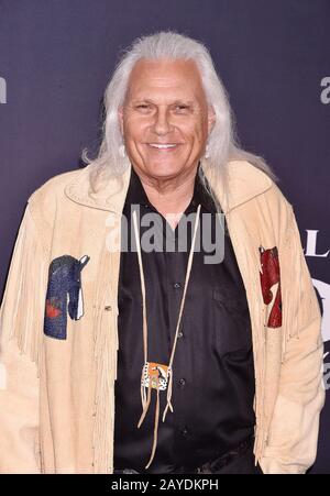 Hollywood, CA - 13 FÉVRIER: Michael Horse assiste à la première des studios du 20ème siècle 'The Call of the Wild' au théâtre El Capitan le 13 février 2020 à Los Angeles, Californie. Banque D'Images