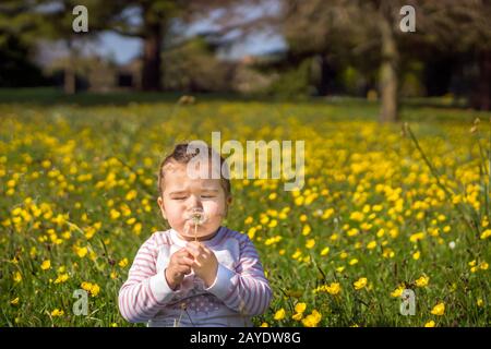 Jeune fille soufflant dandelion sur la prairie, jour d'été, fond flou Banque D'Images