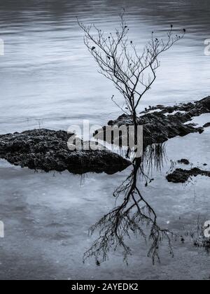 Derwentwater - Manesty Park Banque D'Images