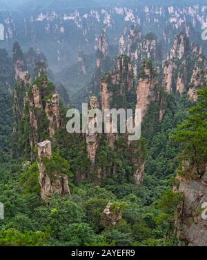 Vue verticale des piliers en pierre de la montagne Tianzi Banque D'Images