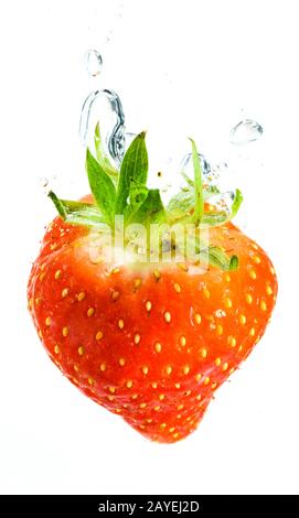 Strawberry tombe profondément sous l'eau avec un grand bruit. Naufrage de fruits dans l'eau claire sur fond blanc Banque D'Images