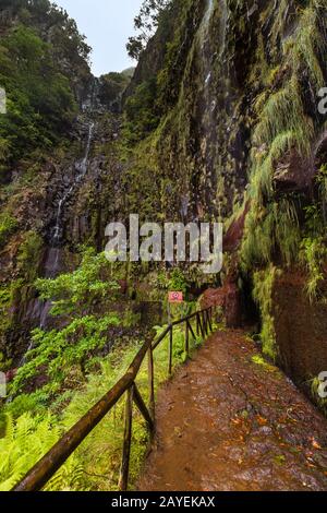 Levada Risco à Madère Portugal Banque D'Images