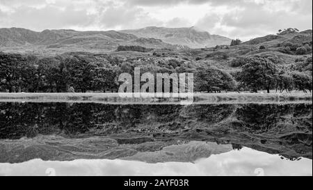 Réflexions Sur Llyn Dinas Banque D'Images