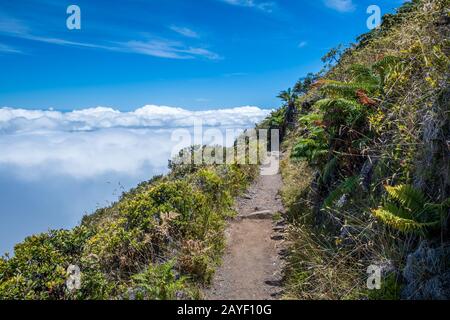 Donnant sur une vue de la nature à Maui, Hawaii Banque D'Images