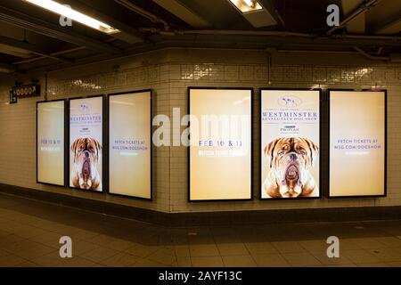 Publicités électroniques haute technologie pour le spectacle de chiens Westminster Kennel Club. À la station de métro Union Square 14ème Street à Manhattan, New York Banque D'Images