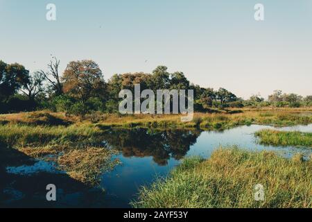 Moremi jeu réserve paysage, Botswana Afrique sauvage Banque D'Images